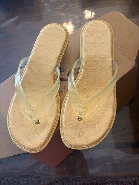 Coach Women’s Vanilla Jelly Thong Kitten Heel Sandals